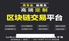 tpWallet的防盗技巧与安全措
