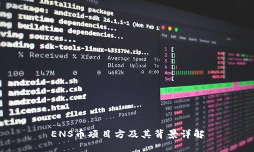 ENS币项目方及其背景详解
