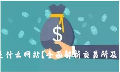  TSE是什么网站？全面解析交易所及其功能