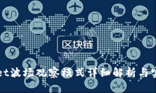 tpWallet波场观察模式详细解析与实用指南