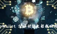tpWallet fil币被转走能找回