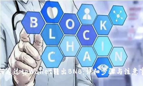 如何通过tpWallet转出BNB：详细步骤与注意事项