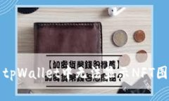 如何解决tpWallet中无法显示NFT图像的问题