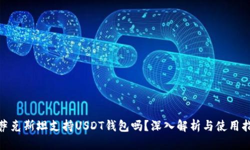 哈萨克斯坦支持USDT钱包吗？深入解析与使用指南