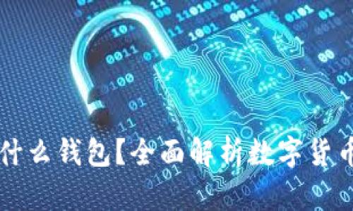 比特币和以太坊用什么钱包？全面解析数字货币钱包的选型与使用