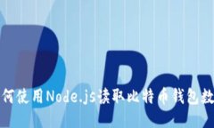 如何使用Node.js读取比特币钱包数据