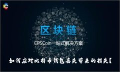 如何应对比特币钱包丢失带来的损失？