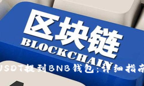 如何将USDT提到BNB钱包：详细指南与步骤